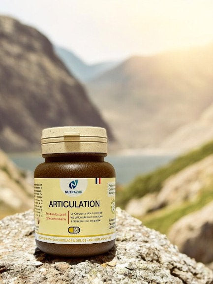 Articulation - protection articulaire et musculaire - sportif - arthrose (60 gélules)