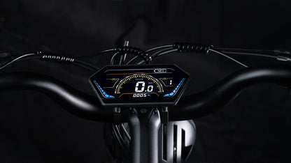 Elektro-Bike Trax 2.0