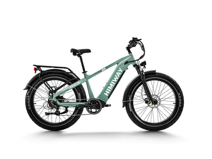 Himiway Zebra D5 2025 E-Bike - Fatbike