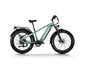 Himiway Zebra D5 2025 E-Bike - Fatbike