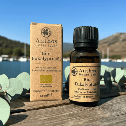 Eukalyptusöl BIO 12ml | Premiumöl