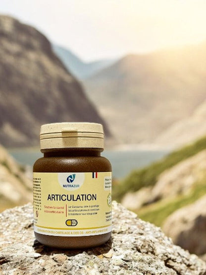 Articulation - protection articulaire et musculaire - sportif - arthrose (60 gélules)