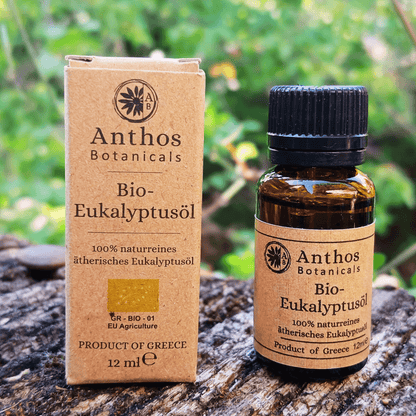 Eukalyptusöl BIO 12ml | Premiumöl