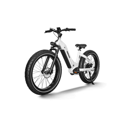 Himiway Zebra D5 2025 E-Bike - Fatbike