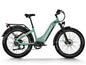 Himiway Zebra D5 2025 E-Bike - Fatbike