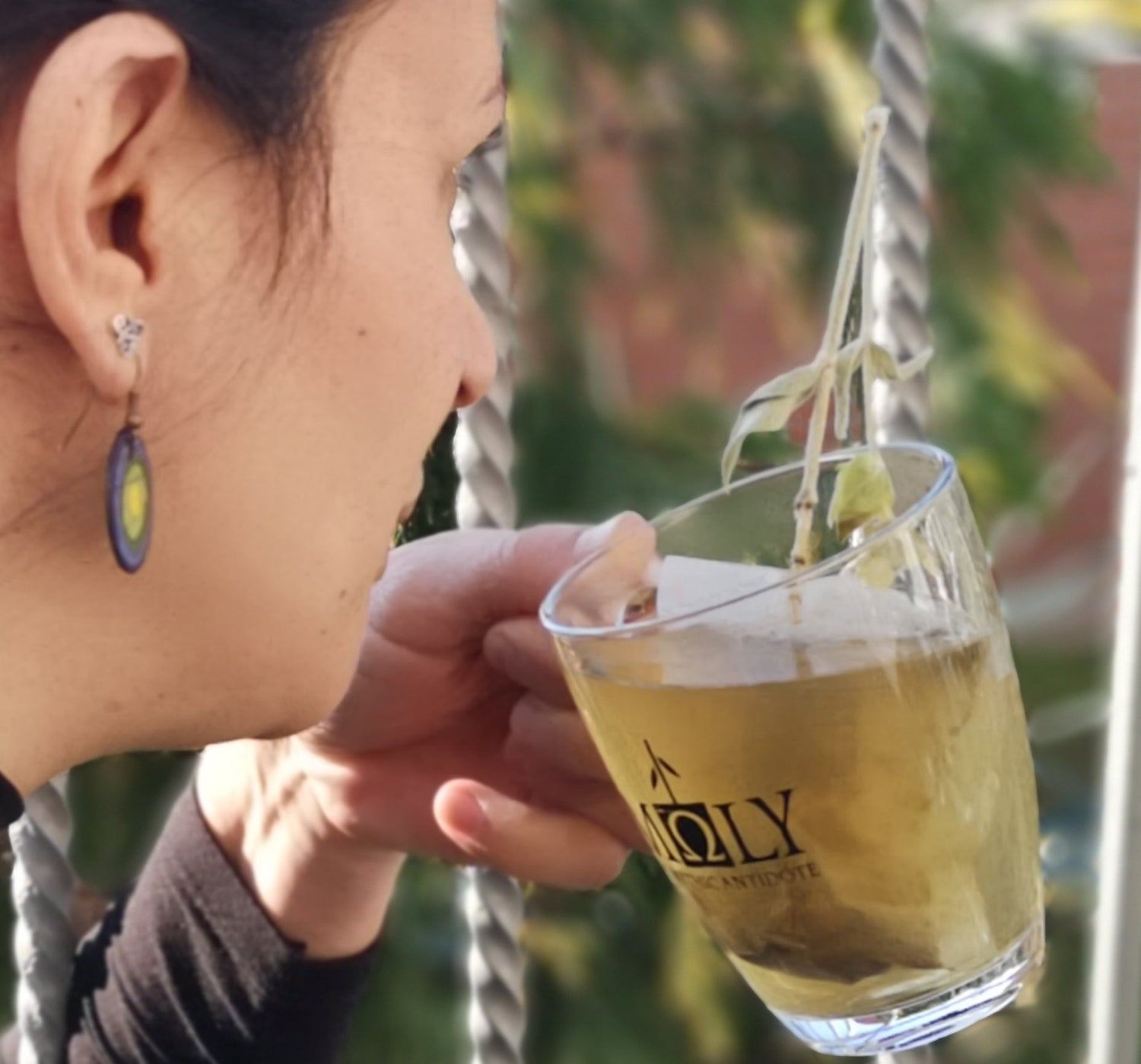 MOLY VARIETY BIO (Geschenkbox)