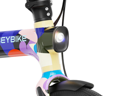 Heybike Helio F– Limitierte Künstler-Edition